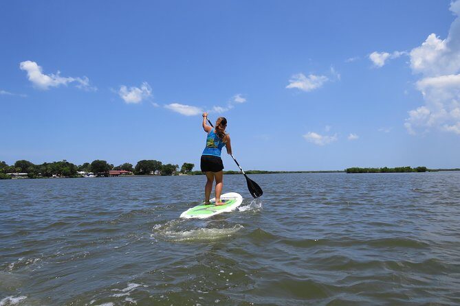 Stand Up Paddle Board Rental in Rose Bay - A Deeper Look at the Rose Bay Paddleboard Experience