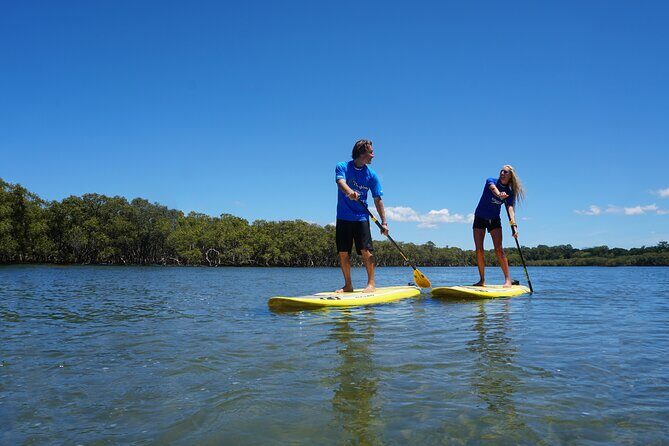 Stand-Up Paddle Board Tour in Byron Bay - Discover Byron Bay by Paddleboard: An Authentic Water Adventure