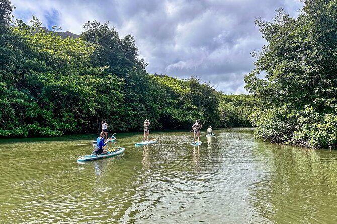 Stand Up Paddle Boarding Adventure in Windward Oahu - The Itinerary: Calm Waters and Scenic Views