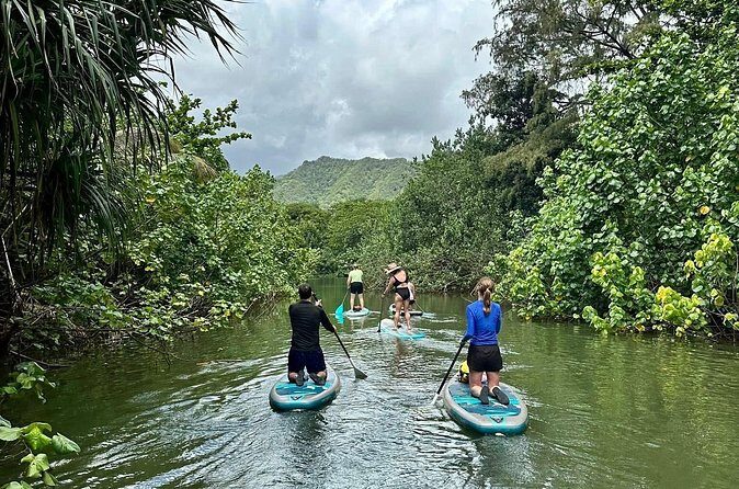 Stand Up Paddle Boarding Adventure in Windward Oahu - Possible Drawbacks