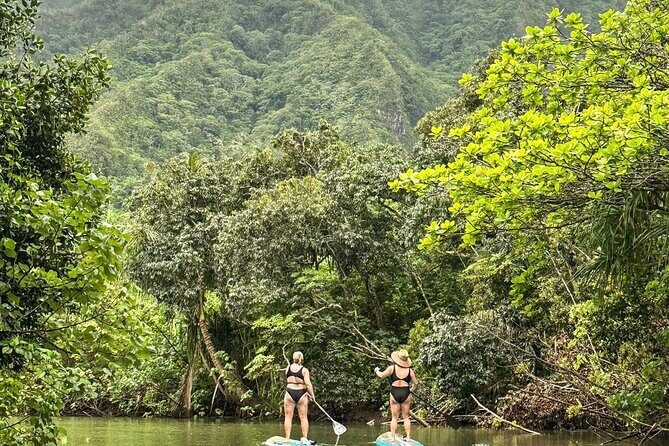 Stand Up Paddle Boarding Adventure in Windward Oahu - Who This Tour Is Best For