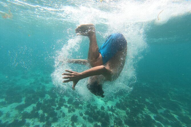 Stand-Up Paddle boarding in Tulum with Snorkeling 1hr - Frequently Asked Questions (FAQ)