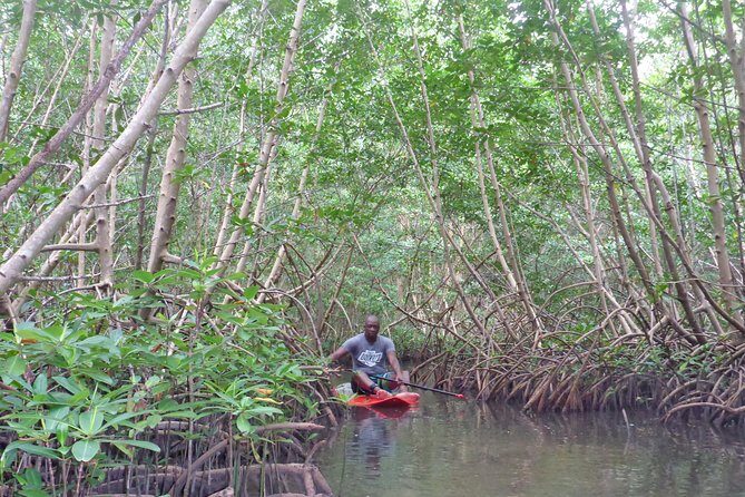 Stand up paddle in paradise - Discover Guadeloupe’s Coastal Beauty with Stand Up Paddle in Paradise