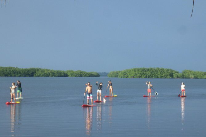 Stand up paddle in paradise - Key Points