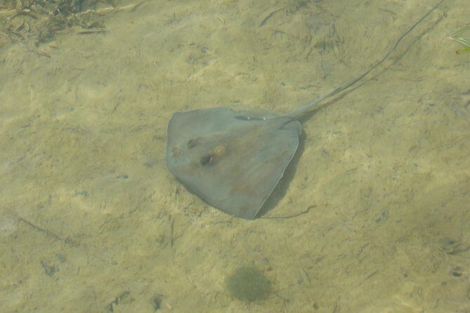 Stand up paddle in paradise - FAQs