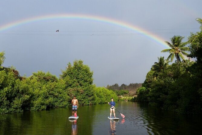 Stand Up Paddle Nature and Turtle tour-Guaranteed to see turtles - Key Points