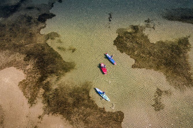 Stand-up-paddle on Laguna of Thau, rental, Sete - An In-Depth Look at the Paddleboard Experience