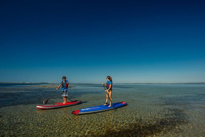 Stand-up-paddle on Laguna of Thau, rental, Sete - Final Thoughts: Is It Worth It?