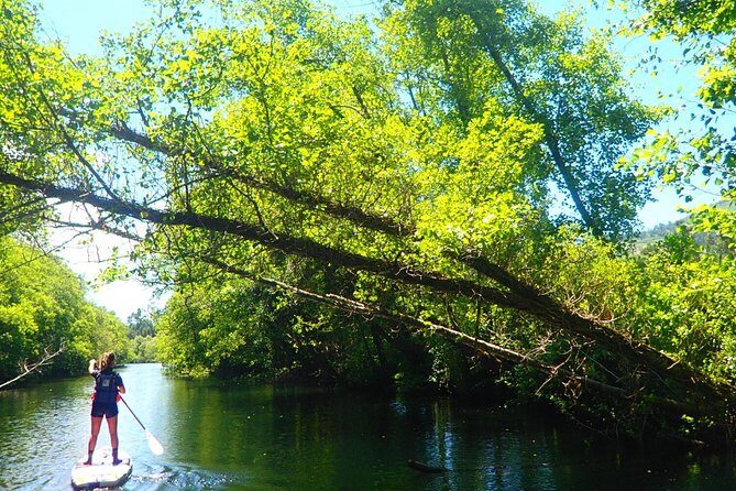 Stand Up Paddle Tour - FAQs