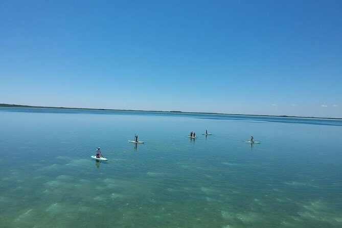 Stand Up Paddle Yoga Class at Private Lagoon - Why It Might Not Be for Everyone