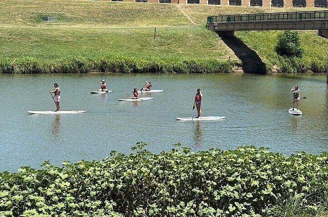 Stand Up Paddleboard Rental - Key Points