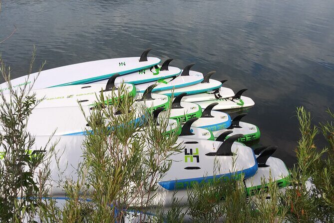 Stand Up Paddleboard Rentals - FAQs