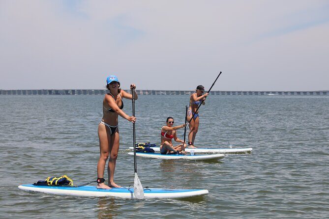 Stand Up Paddleboard Rentals in Ocean City, MD - A Closer Look at the Paddleboarding Experience in Ocean City