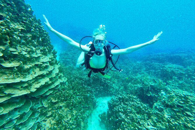 StandUp PaddleBoard Lesson and Experience Scuba Diving Package! - Starting Out: Meeting Point and Timing