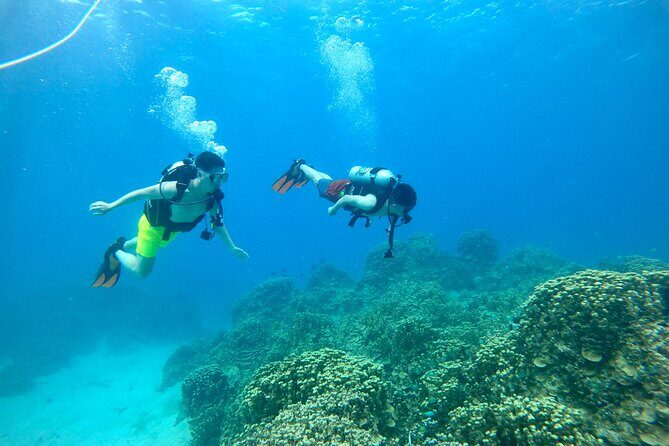 StandUp PaddleBoard Lesson and Experience Scuba Diving Package! - Transition to Scuba Diving: Briefing and Equipment