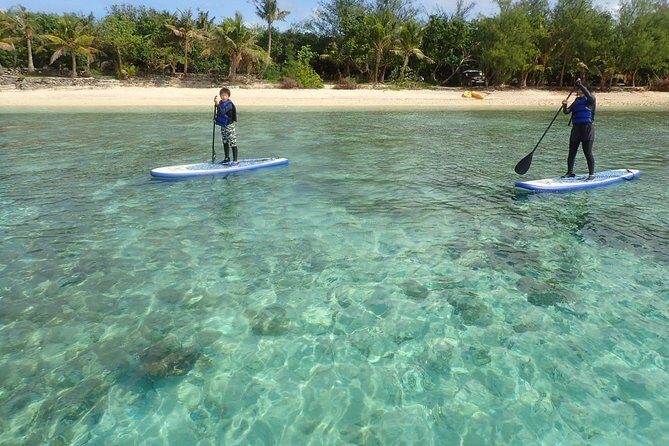 StandUp PaddleBoard Lesson and Experience Scuba Diving Package! - Exploring Guam’s Reefs: Underwater Highlights