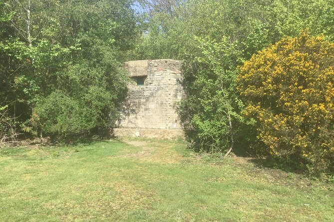 Stanmore Circular Private Walking Tour - Final Thoughts: Who Will Love This Tour?
