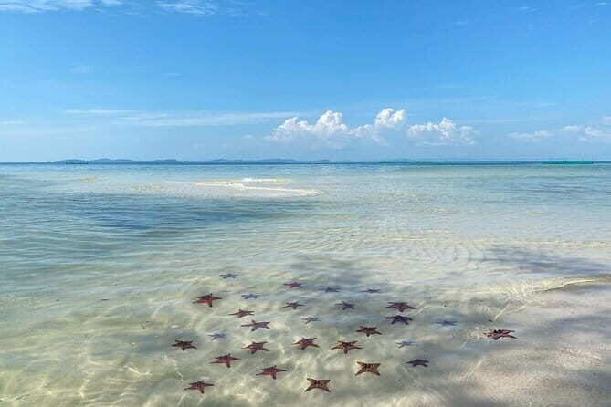 Starfish Beach Trip In Phu Quoc Island - Who Is This Tour Best Suited For?