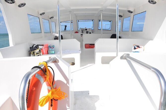 Starfish Encounter & Mangrove Exploration in Grand Cayman - FAQs About the Starfish & Mangrove Tour