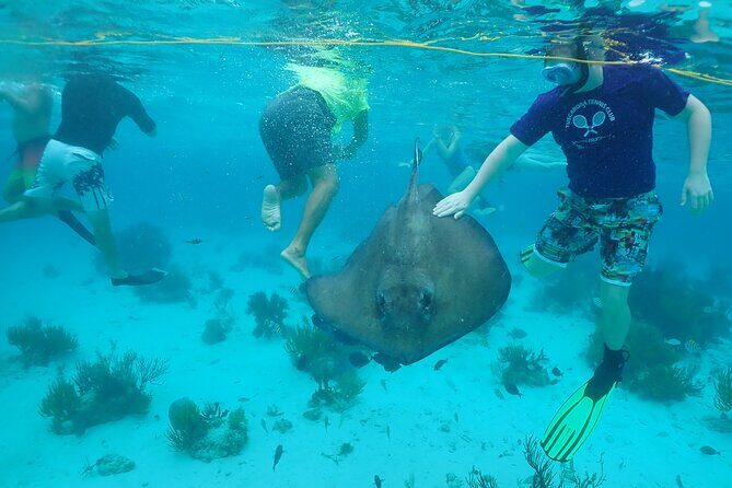 Starfish Point, Stingray City & Coral Garden (3-STOP Adventure) - Authentic Experiences and What Travelers Say