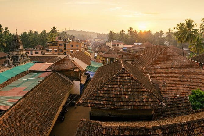 Stargazing Nights in the Kodachadri Forest - Practical Details: What You Need to Know