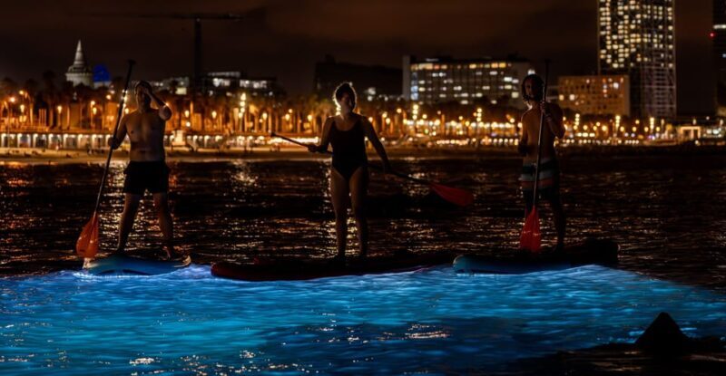 Starlight Paddlesurf during the night in Barcelona - Key Points