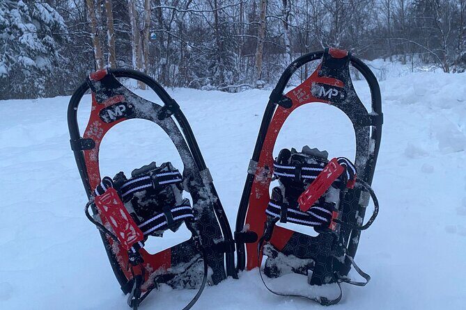 Starlight Snowshoe Adventure in Alaska - An In-Depth Look at the Snowshoe Night