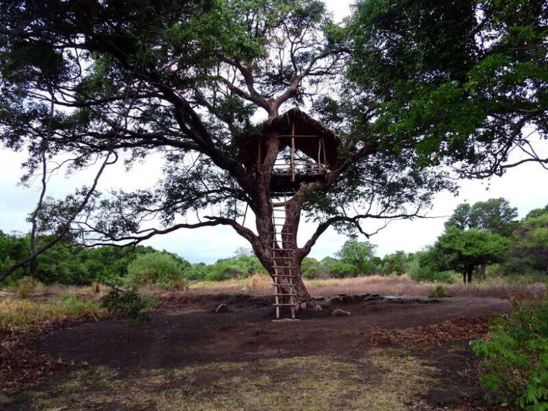 Starlit Escape: Stargazing from a tree hut in Sigiriya - Key Points
