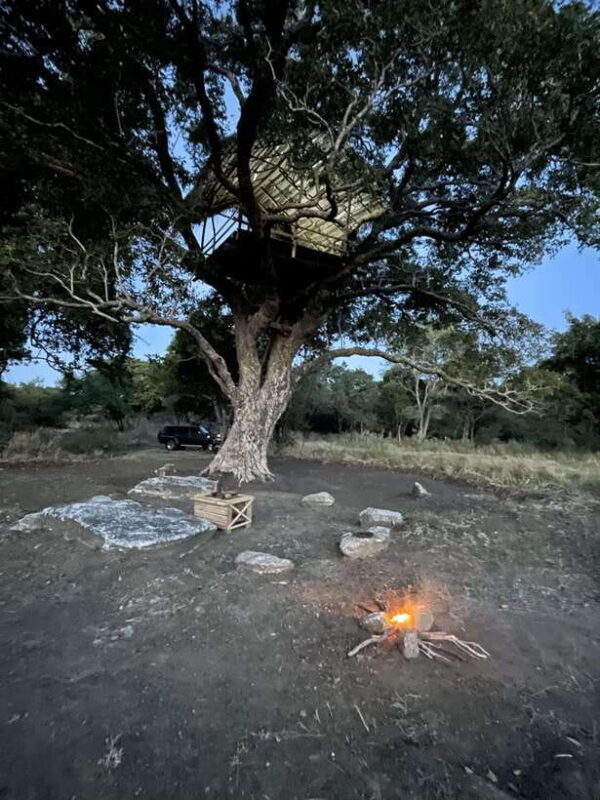 Starlit Escape: Stargazing from a tree hut in Sigiriya - An In-Depth Look at the Starlit Escape Experience