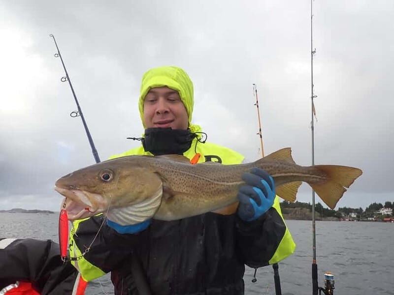 Stavanger: Lysefjord Cruise, Fishing, and Dinner Tour - Stavanger: Lysefjord Cruise, Fishing, and Dinner Tour — A Complete Guide