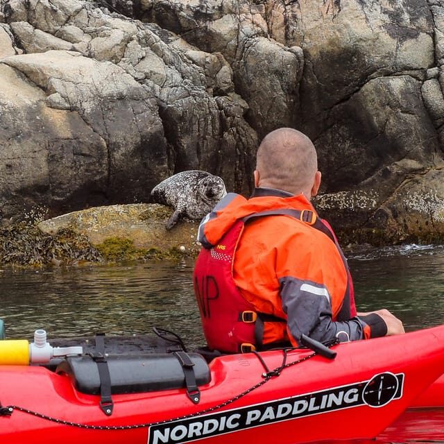Stavanger: Lysefjord Kayak Safari (Waterfalls & Pulpit Rock) - Frequently Asked Questions