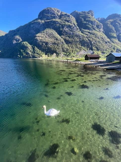 Stavanger: Månafossen Waterfall and Via Ferrata Bouldering - Key Points