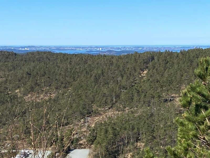 Stavanger: Preikestolen Tour with Guide and Pickup - Who Is This Tour Best For?