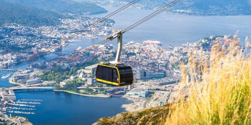 Stavanger: Ulriken Mountain and Bergen Aquarium Guided Tour - Who Will Love This Tour?