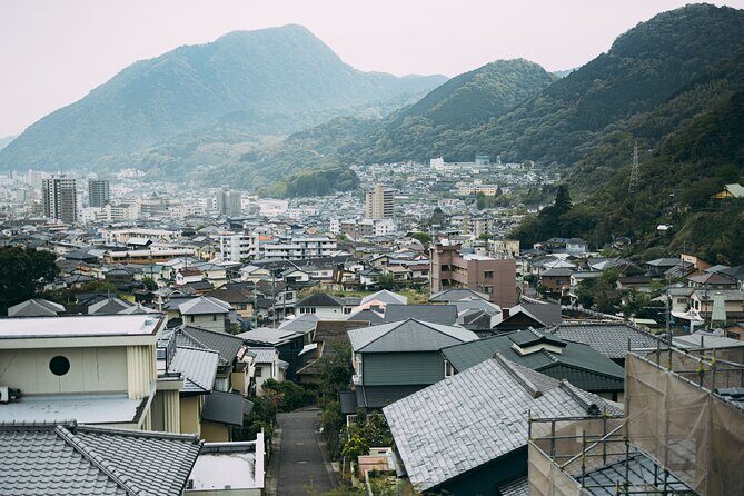 *Stay at Beppu, 2-Day Tour to Takachiho from Fukuoka with Minibus - Who Would Enjoy This Tour?