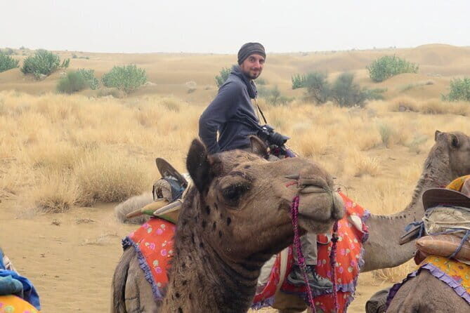 Stay Under The Billions Stars Overnight Camel Safari Tour - A Deep Dive into the Experience