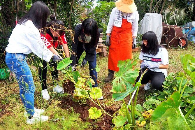 Stay with a Local Family in Ojika Island Japan - The Value of This Experience