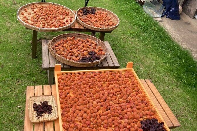 Staying in a Traditional Japanese house in Chiba - FAQ