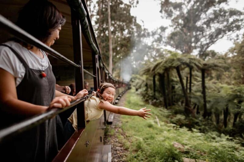 Steam Train and Penguin Parade Chinese Speaking Day Tour - The Magic of the Penguin Parade