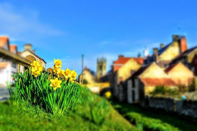 Steam Trains, Whitby, and the North York Moors Full-Day Tour from York - The Details and Why They Matter