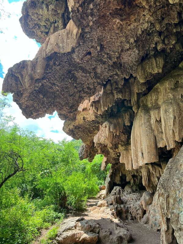 Steer route: Tour of the ruins and tasting in Mazatan - Key Points