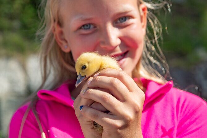 Steim Farm Experience in Vik, Norway - Discover the Authentic Charm of Steim Farm Experience in Vik, Norway