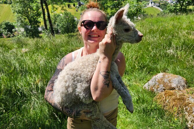 Steim Farm Experience in Vik, Norway - Final Thoughts