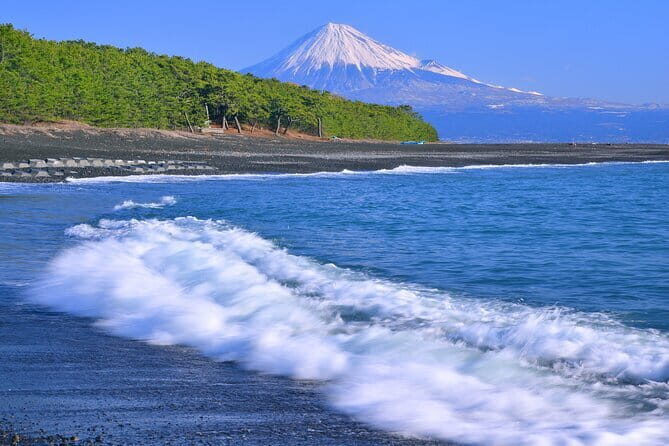 Step-Free easy going tour from Shimizu Port / Small bus - Who is this tour best suited for?