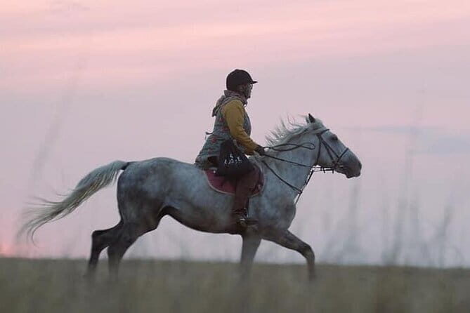 Steppe, Saddles and Sauna: Scenic Horse Rides Along River Nura - Lunch in a Yurt or Ranch
