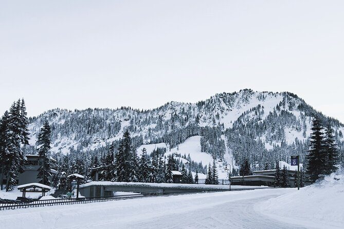 Stevens Pass Ski Resort Tour from Seattle - What to Expect on This Scenic and Ski Day Trip