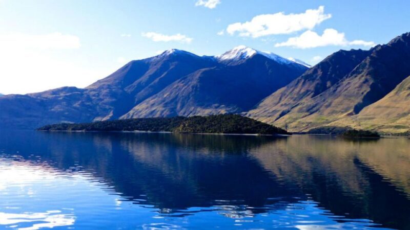 Stevensons Island 2-Hour Cruise and Nature Walk - Authentic Experiences and Tips