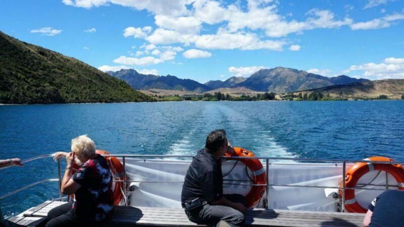 Stevensons Island 2-Hour Cruise and Nature Walk - Value and Pricing
