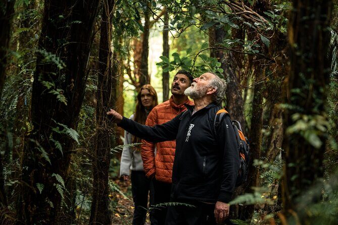 Stewart Island Guided Wilderness Walk - Key Points
