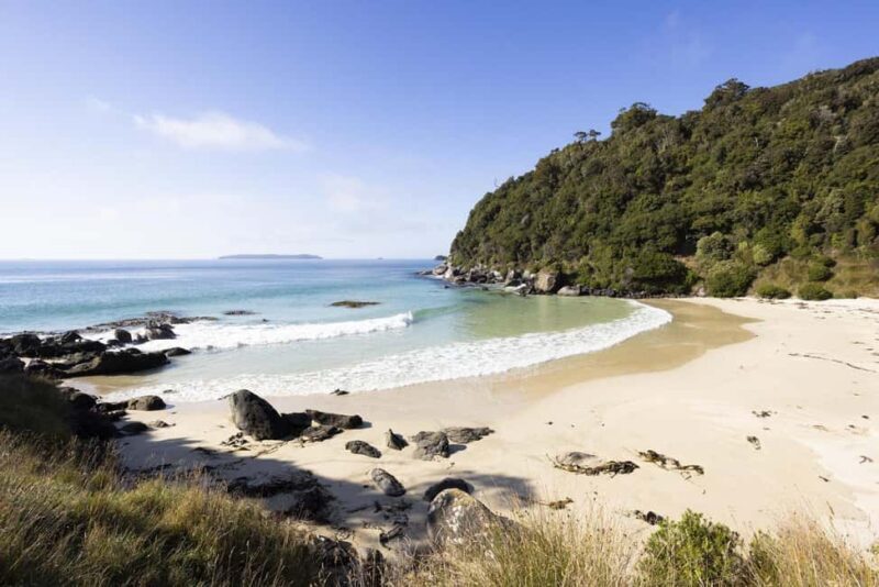 Stewart Island: Guided Wilderness Walk - Exploring Stewart Island: A Practical, Authentic Journey